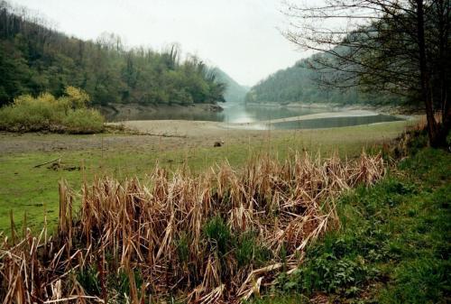 Anno 2001: il livello basso dell'Adda poco dopo la Praela, dovuto alla parziale apertura della diga di Robbiate.