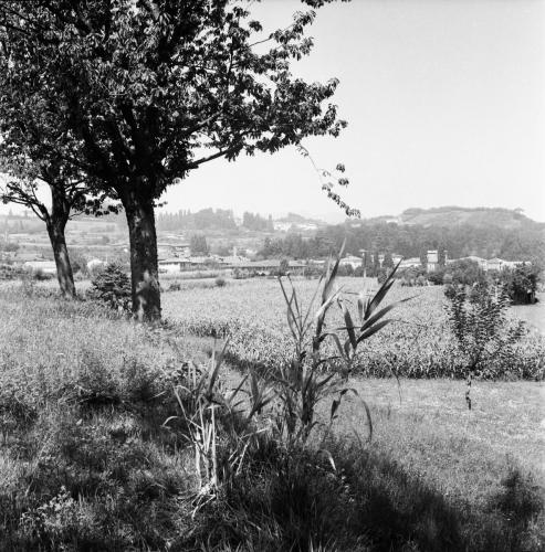 Panoramica di Imbersago 