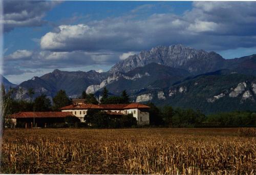 Il Culumbè con campo di grano e Resegone sullo sfondo