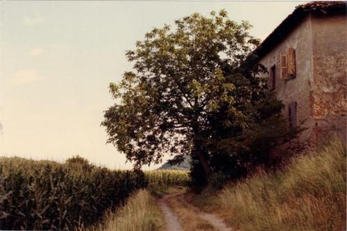 Sentiero retrostante il Culumbè