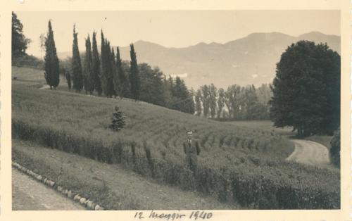 12 maggio 1940: il parco di Villa Castelbarco coltivato a frumento, poche settimane prima dell'entrata in guerra dell'Italia